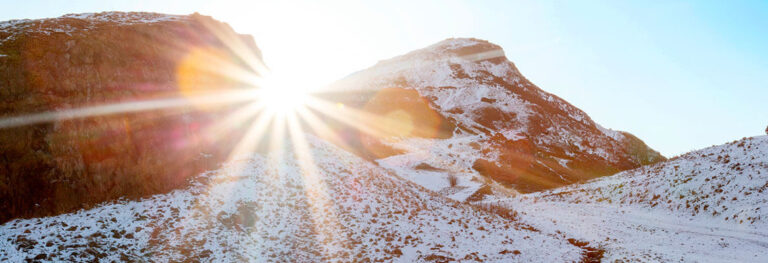 Get Your Daily Dose of Vitamin D