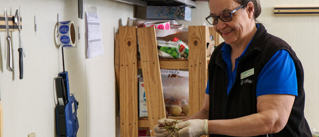 A female employee wearing a blue shirt with a black vest inside a kitchen cleaning making sure everything is clean